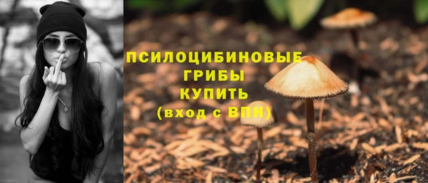 соль курить ск Алзамай