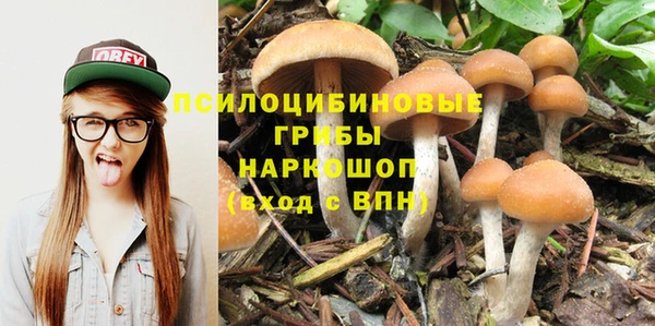 дмт Алексин
