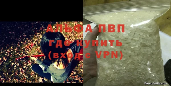 дмт Алексин