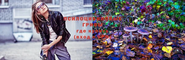 дмт Алексин
